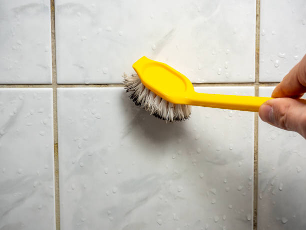 Best Mold Removal Company Near Me  in Exander City, AL