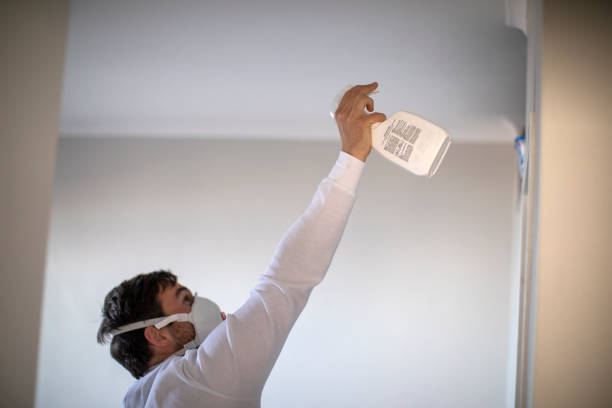 Best Mold Removal Near Me  in Exander City, AL