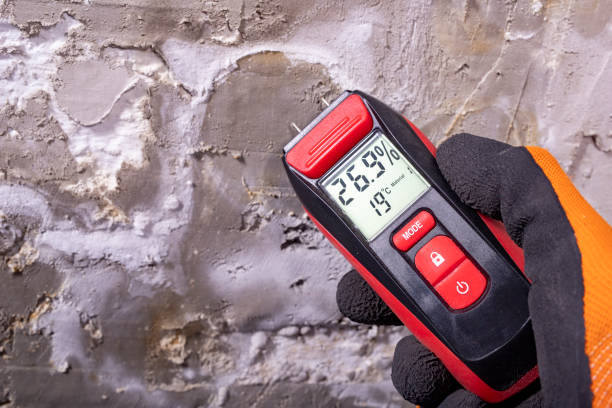 Best Toxic Mold Removal  in Exander City, AL